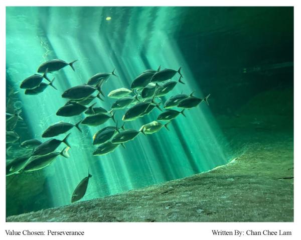 動物攝影「詩」創意大挑戰比賽