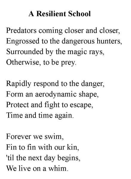 動物攝影「詩」創意大挑戰比賽