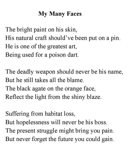 Animal Photo Poetry Creative Challenge