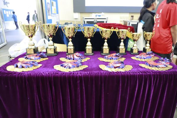 青中盃小學籃球邀請賽