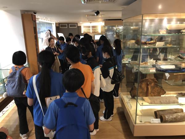 S2(B團)_香港浸會大學孔憲紹博士伉儷中醫藥博物館（博物館日）