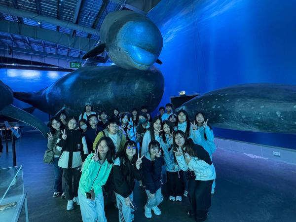 Study Tour to Norway, Finland and Iceland